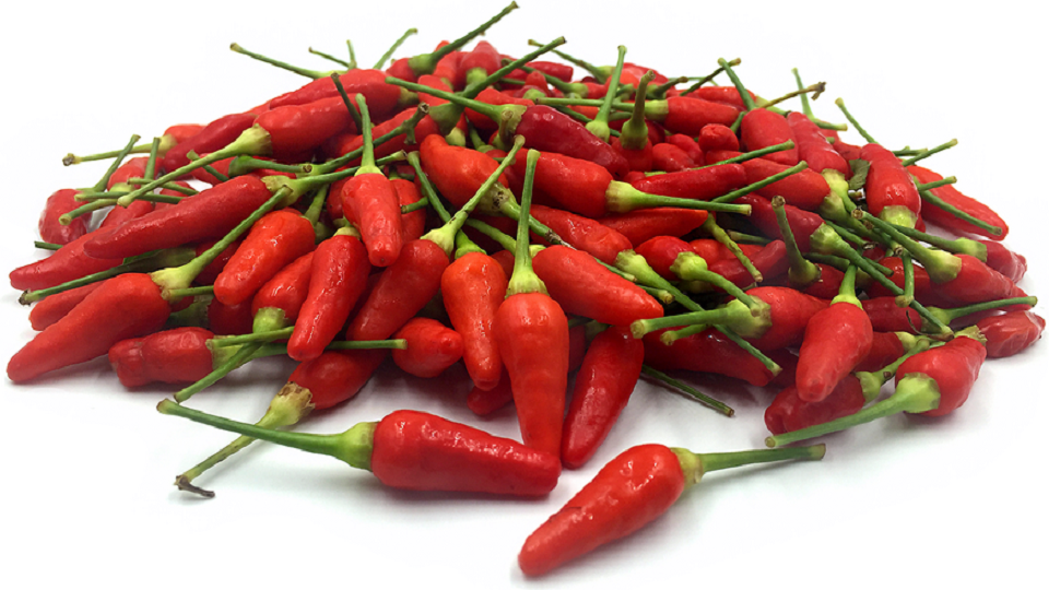 Chilpete Wild Species of Chile Peppers – Agrihortico