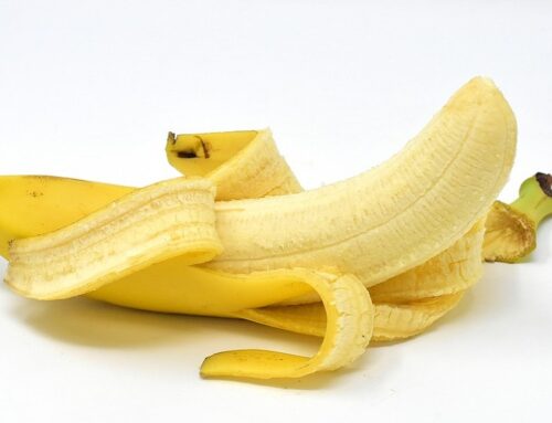 Food Uses of Bananas